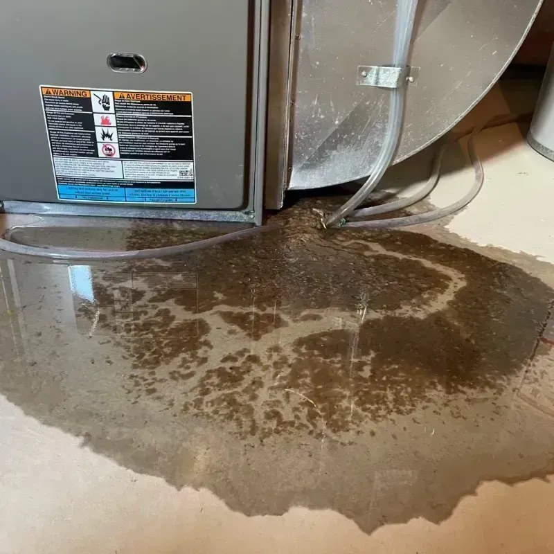 Appliance Leak Cleanup in Cheat Lake, WV